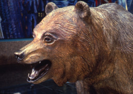 CALIFORNIA GRIZZLY (DETAIL)