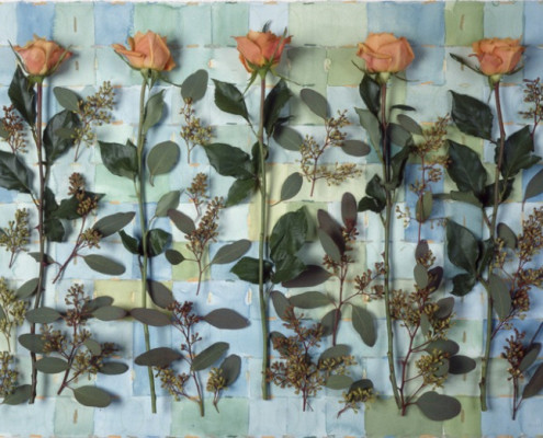 5 APRICOT ROSES, 2005