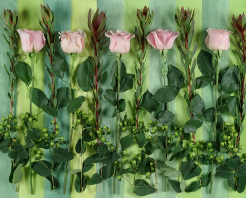 5 PINK ROSES