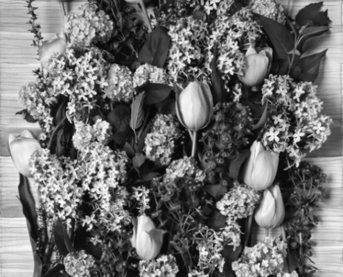 TULIPS AND LILACS (B&W) 2005