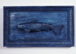IMAGE-OBJECT TROUT 1991