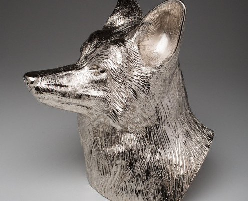 Coyote Bust